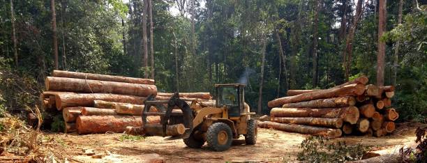 Soil Testing and Treatment in Elma, WA
